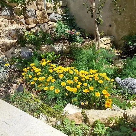 Apartment Vigo Croatia Celina