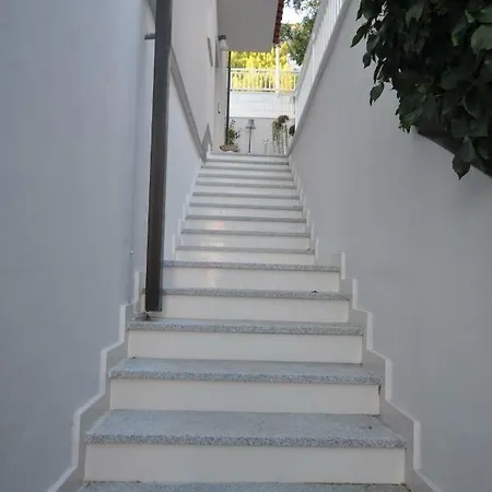 Vigo Croatia * Celina